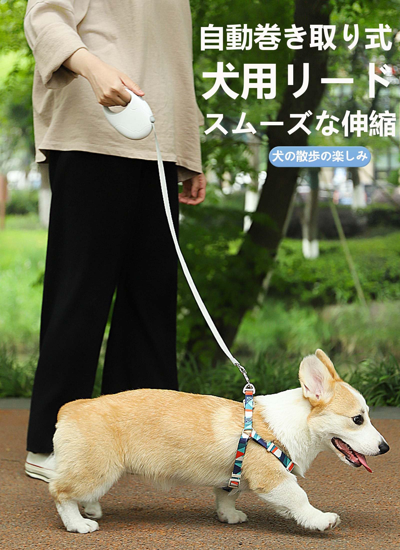 ペット犬猫用　散歩用リード 5m Lサイズ　 2点 Amazon | Hakona 犬 リード 伸縮リード 犬猫 リード 5m/3m伸びるリード