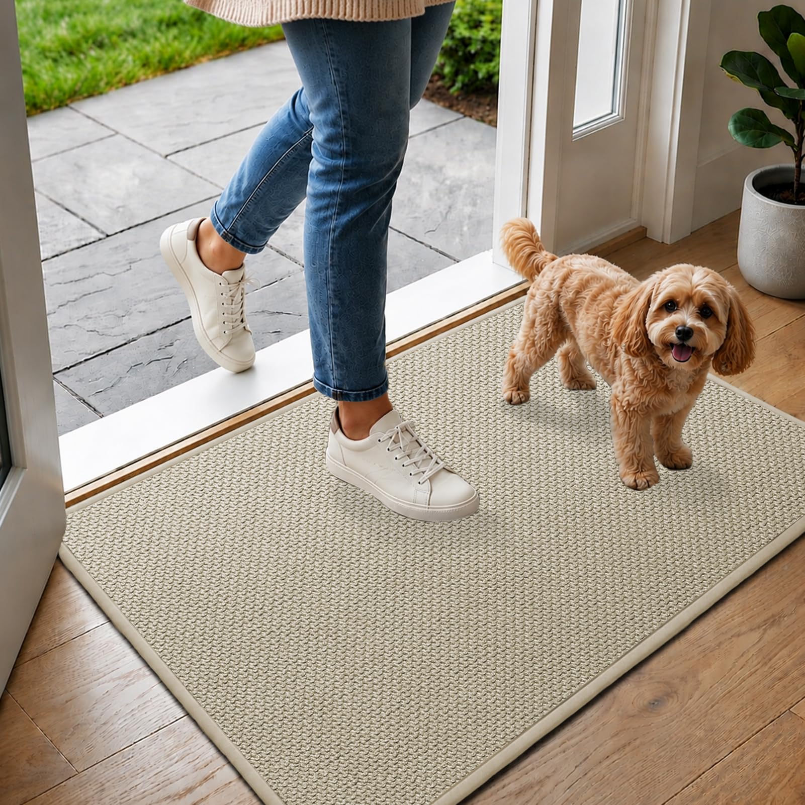 SOQKEEN Indoor Door Mat, Dirt & Moisture Trapping, 50 x 80 cm, Beige