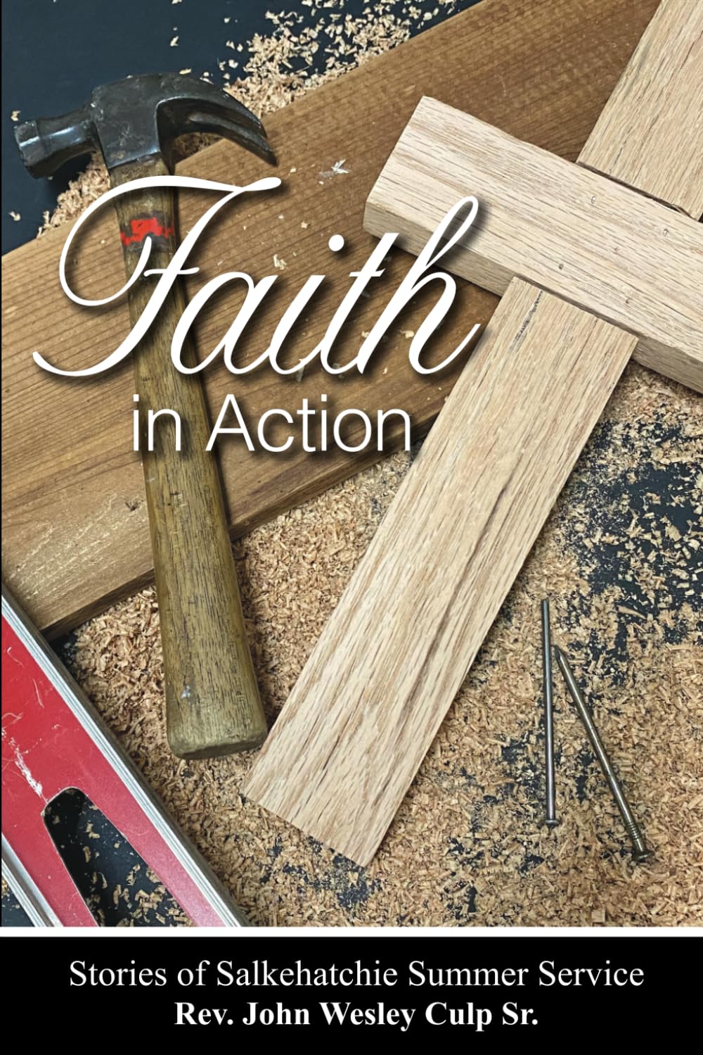 Faith In Action: Stories of Salkehatchie Summer Service