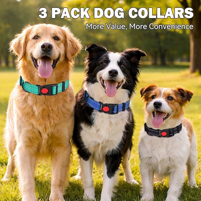 3 Collares Reflectantes para Perros Pequeños, Nailon Ajustable con Hebilla de Seguridad miniatura 2