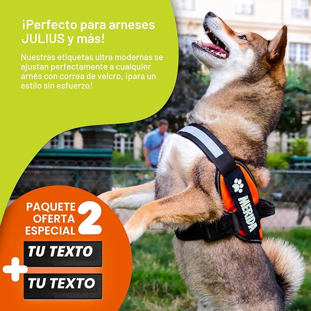 Foto 2 de 6 de Lote de 2 Etiquetas Personalizables para Arnés Táctico