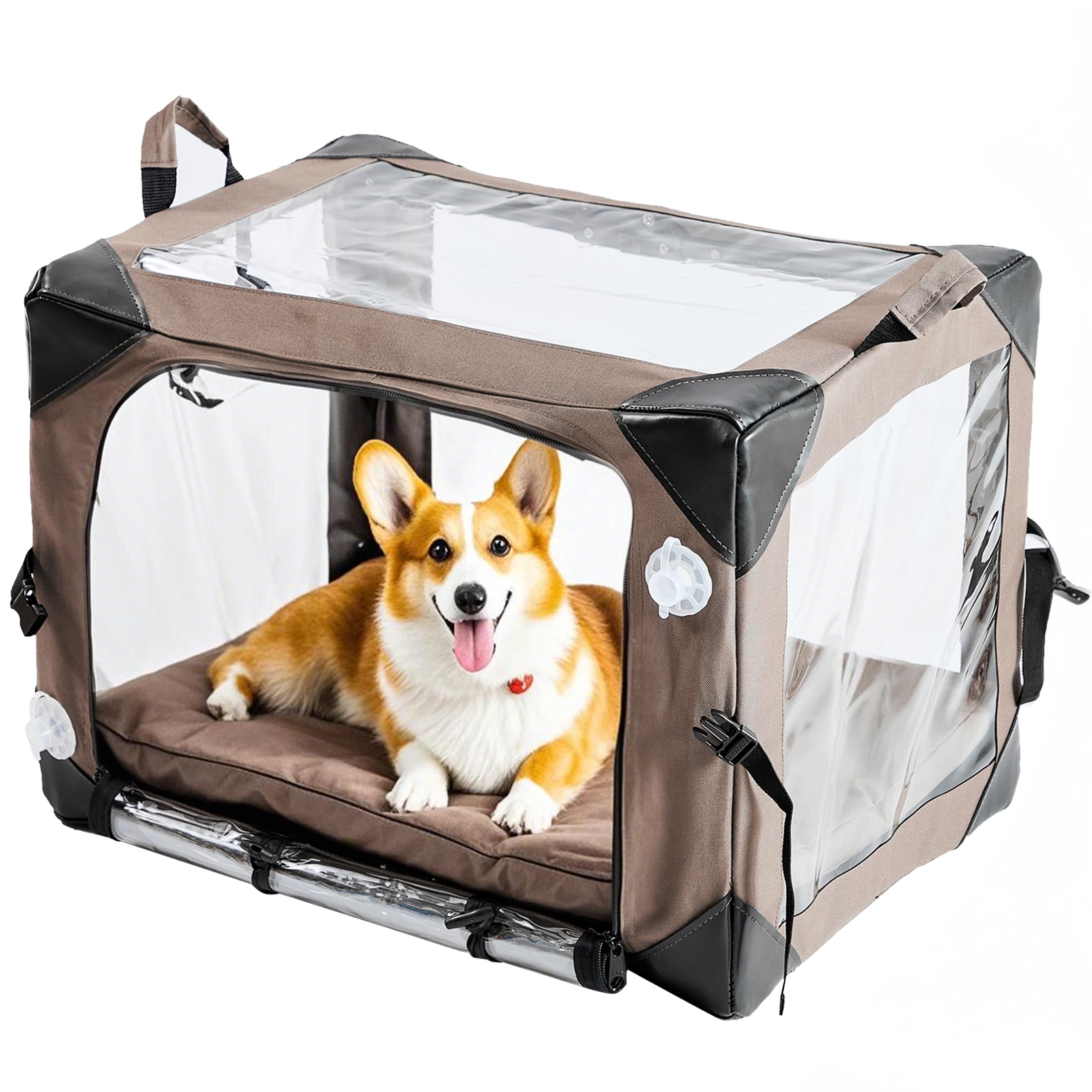 Amazon.co.jp: ペット用酸素ハウス｜犬猫 酸素室・折りたたみ式・呼吸 