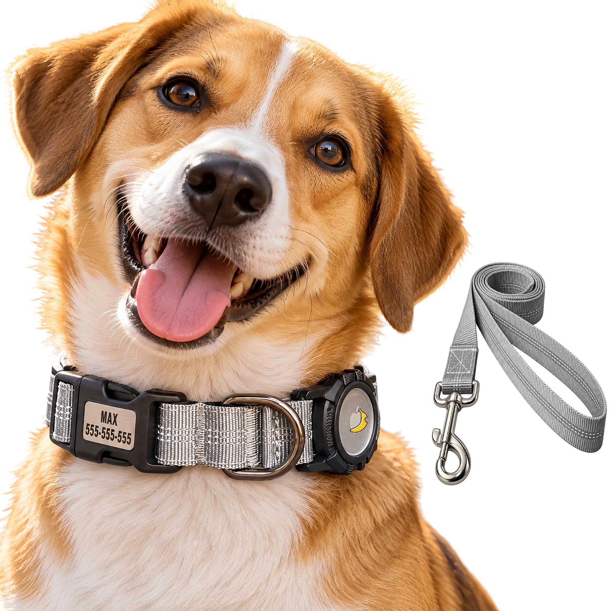 CEMULA Personalised Dog Collar & Lead Set Compatible with Apple AirTag