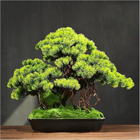 Amazon 偽の盆栽の木 21 インチ人工植物盆栽松の木 リアルなシミュレーション盆栽装飾 庭のバルコニー 寝室の審美的な偽の植物の装飾人工盆栽の木 人工観葉植物 オンライン通販