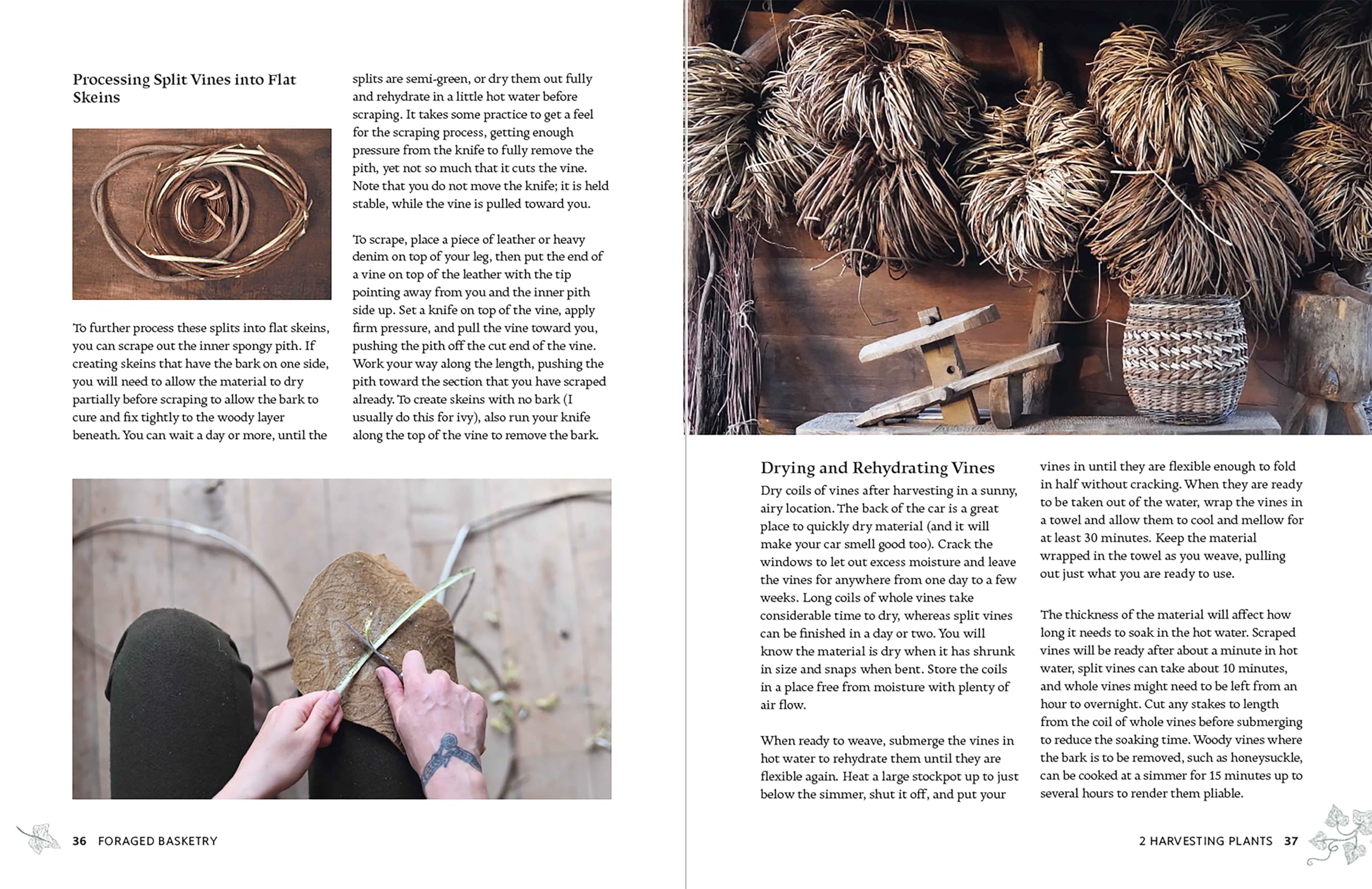 Foraged Basketry: Weaving with Wild and Invasive Plants