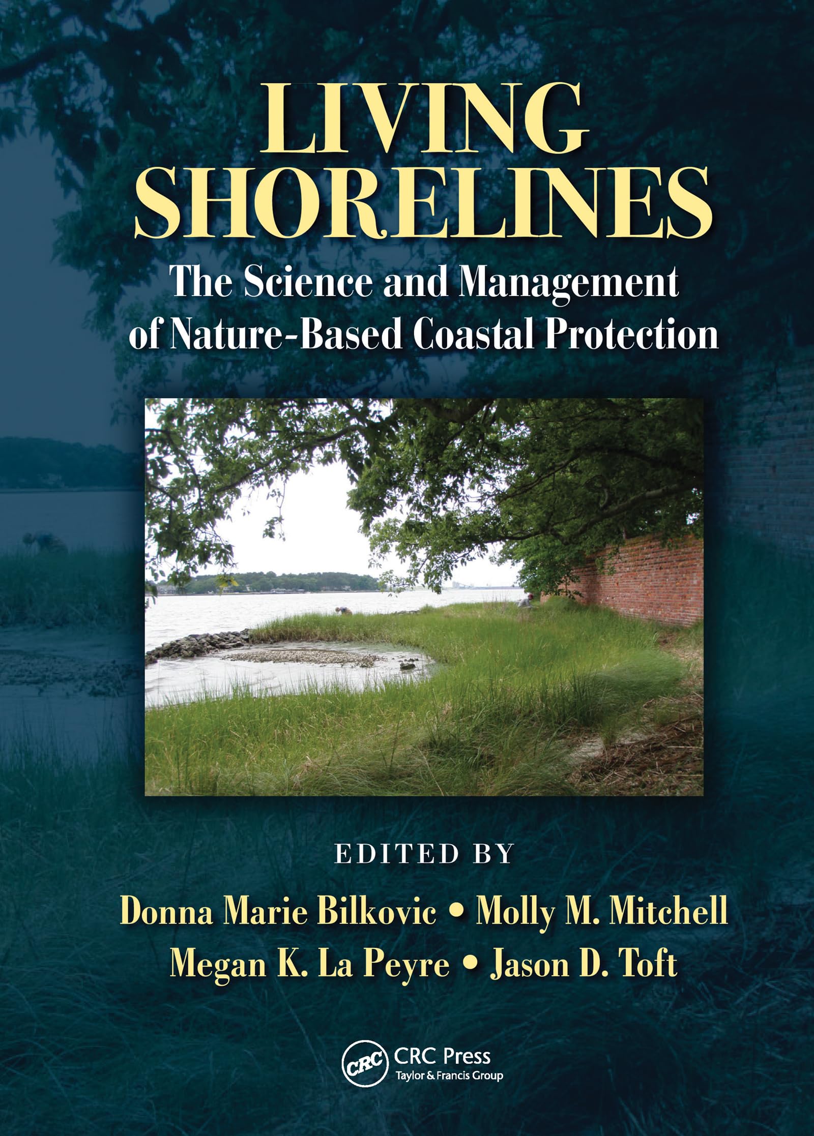 Living Shorelines by Donna Marie Bilkovic, Molly M. Mitchell,... - 9780367573836