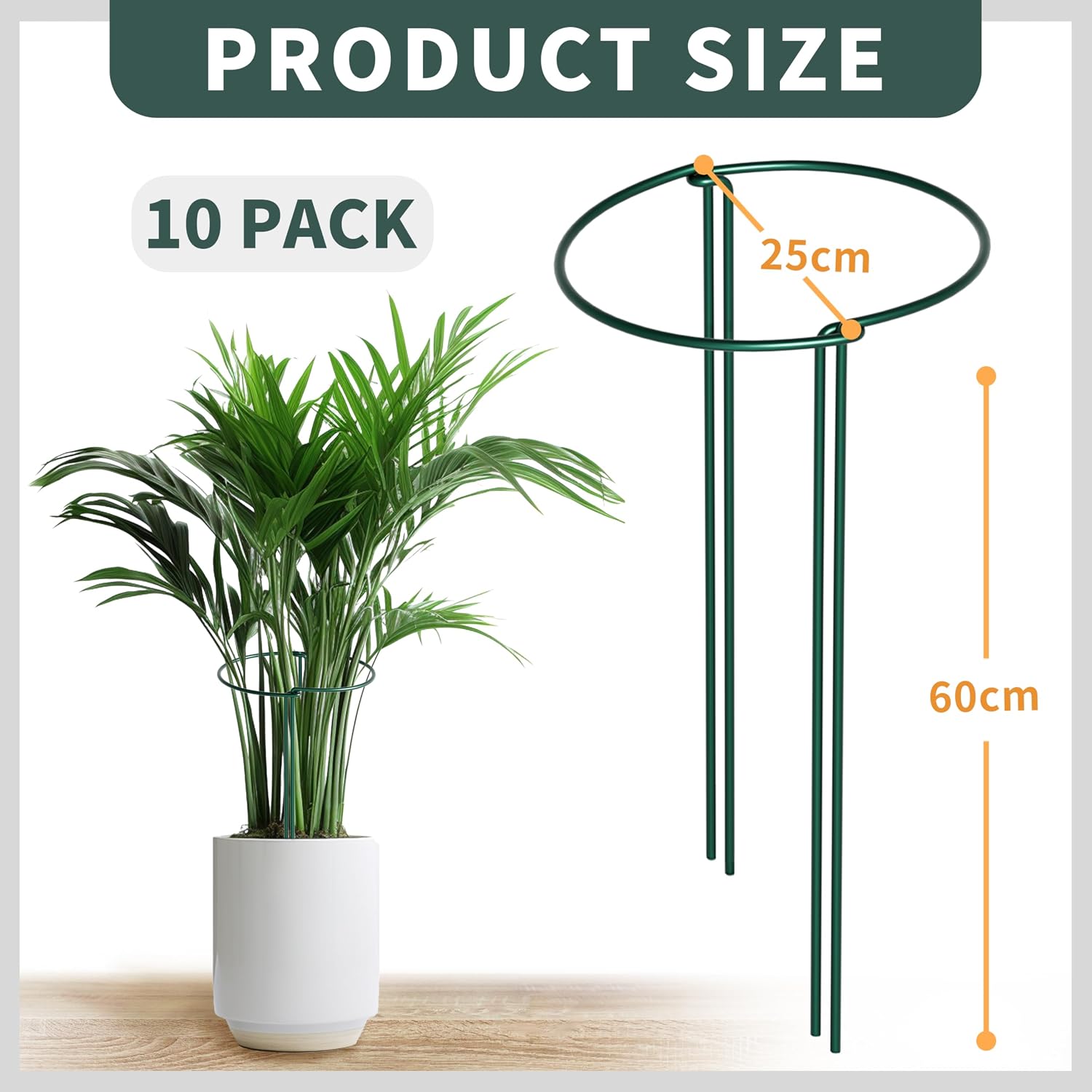 Pack of 10 Plant Support Shrub Holders Semicircular (25 x 60 cm) - Robust 4 mm Wire Metal Garden Supports for Flowers, Climbing Plants and Shrubs