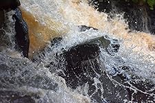 Review Image by Redmountain