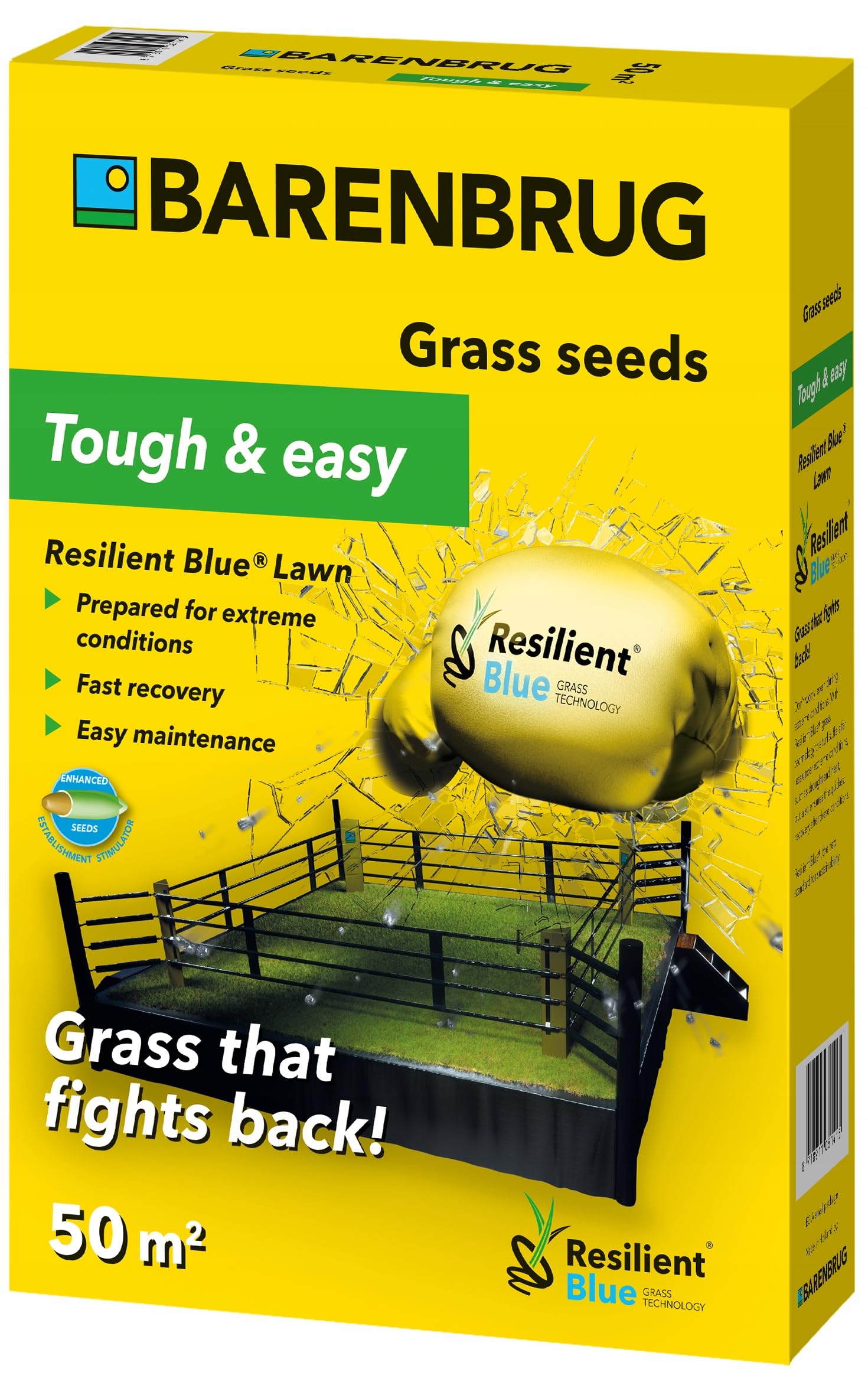 Erba resistente Barenbrug Resilient Blue Prato, 1 kg Semi di erba universali