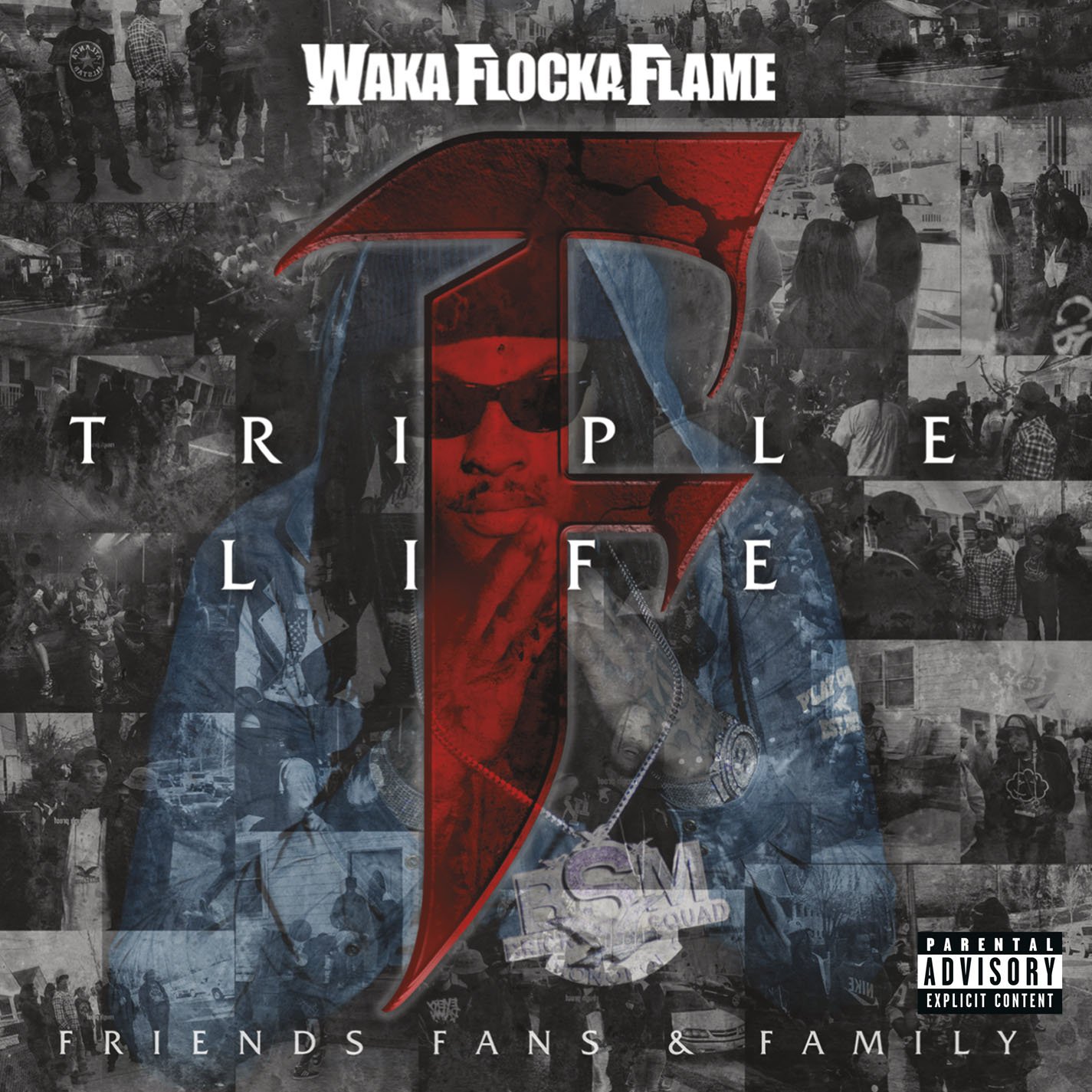 Triple F Life: Friends, Fans & Family [Audio CD] Waka Flocka Flame