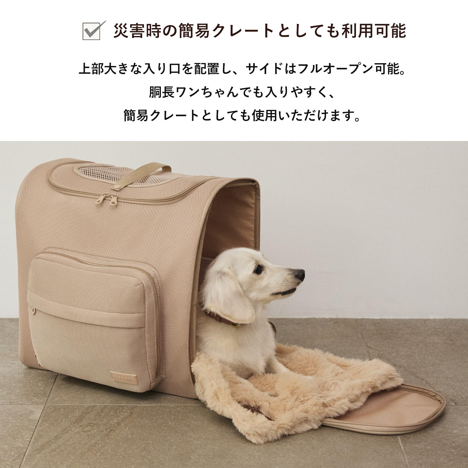 Amazon.co.jp: [citydog/シティドッグ] ワイドエアー バックパック