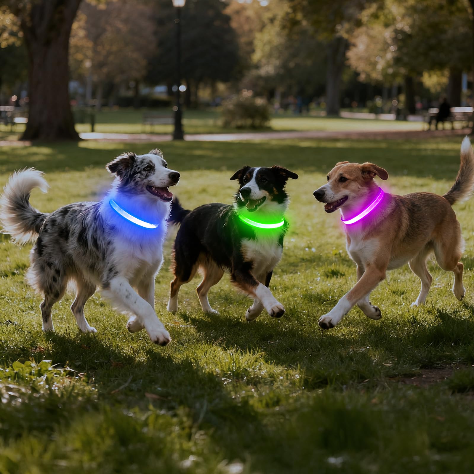 VIZPET Collare per cani a LED ricaricabile tramite USB, 100% impermeabile, regolabile, con luce di sicurezza super luminosa, collari luminosi per cani (blu, medio