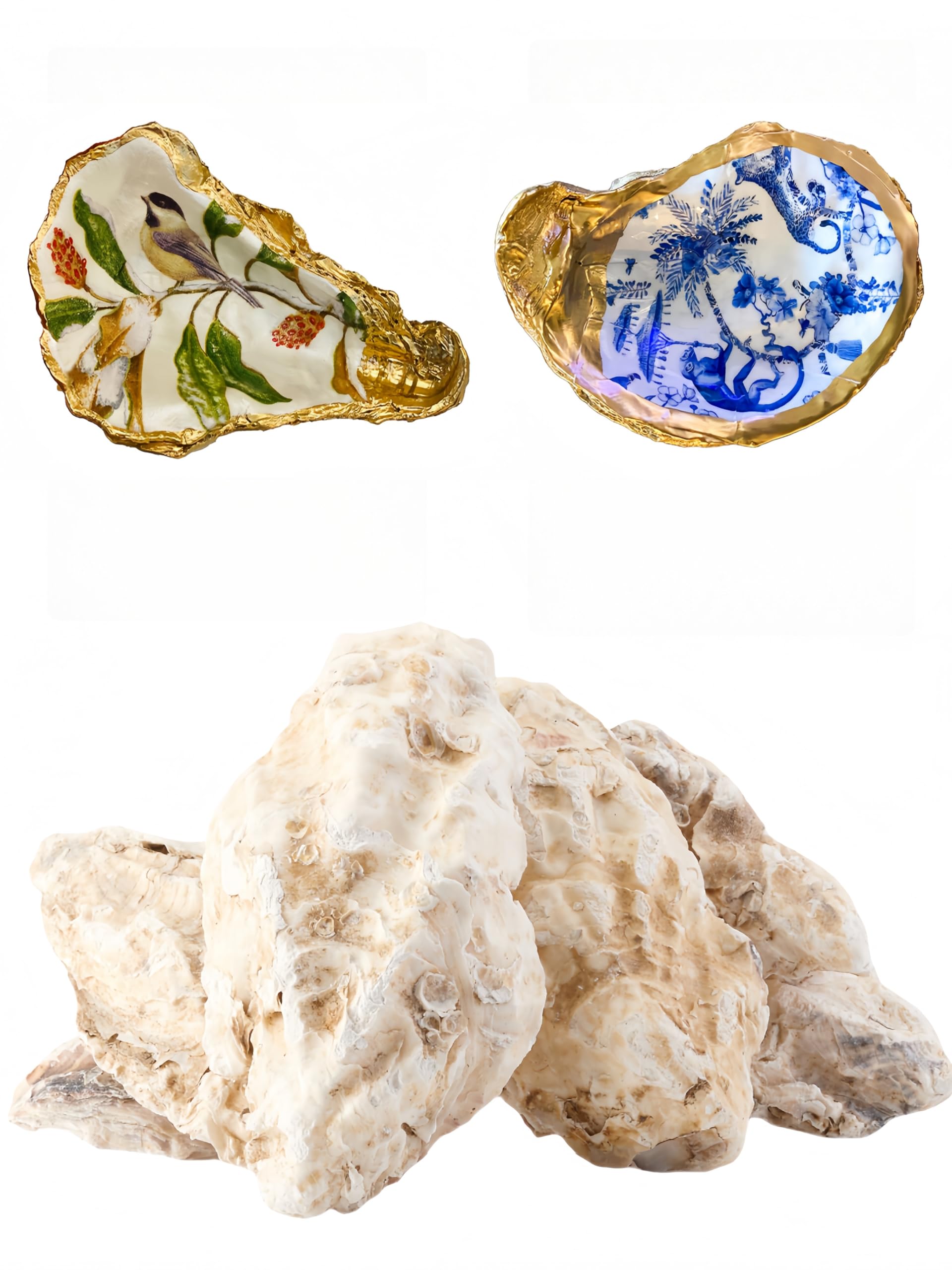 Photo 1 of Letravagance 10Pcs Oyster Shells for Crafts, 4"-5" Large
