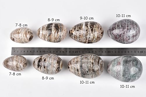 Miniatura 4 de AMOYSTONE Huevo de celestita azul natural crudo mineral curativo en racimo de geoda irregular grande 5-55 pulgadas