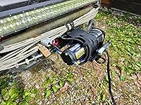 Review Image by Bee Bee