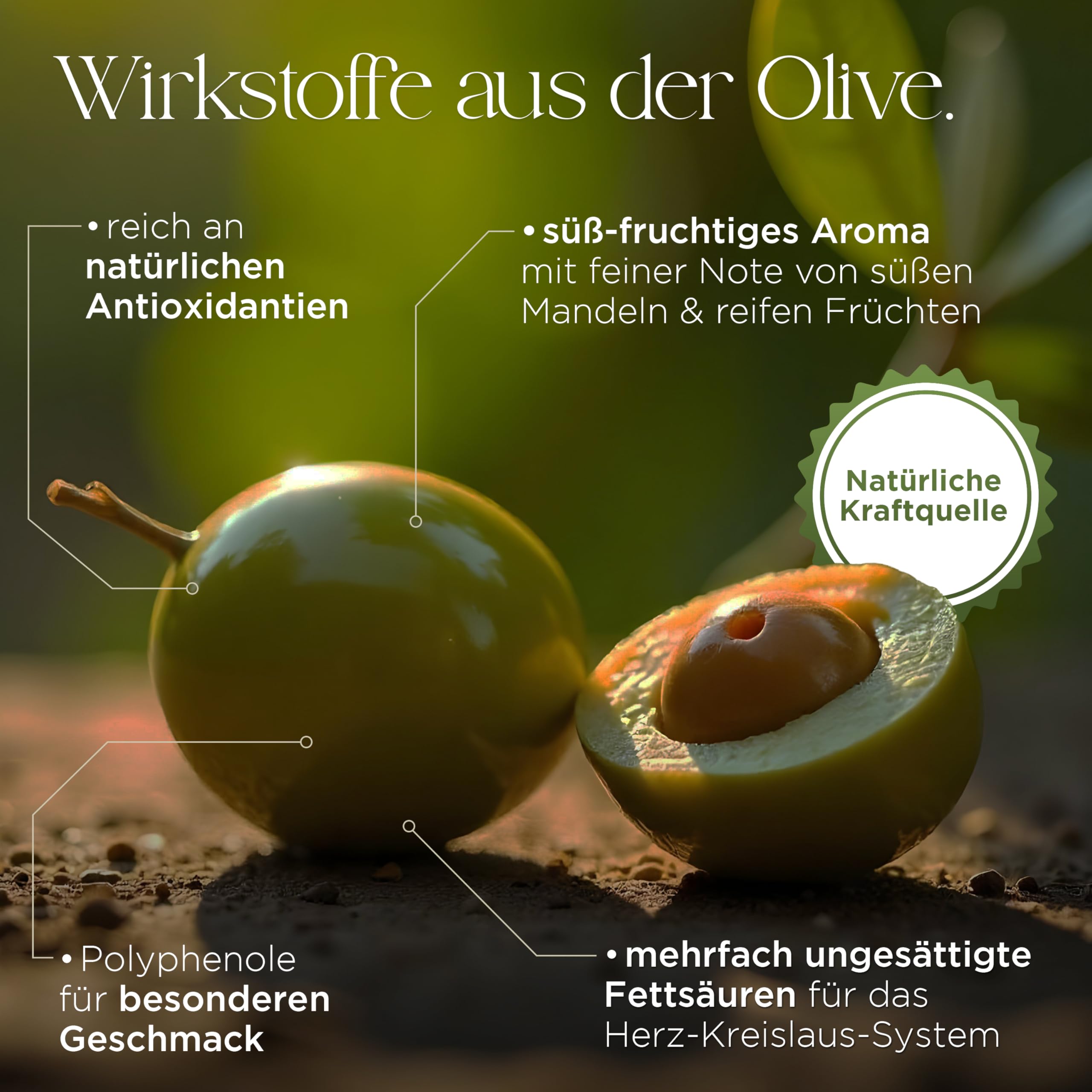 Eglianos Extra Natives Olivenöl - Griechisches Olivenöl 5 Liter kaltgepresst - reich an Polyphenolen - Kalamata Olivenöl in Premium Qualität - Koroneiki Oliven - Kaltextraktion - niedriger Säuregehalt