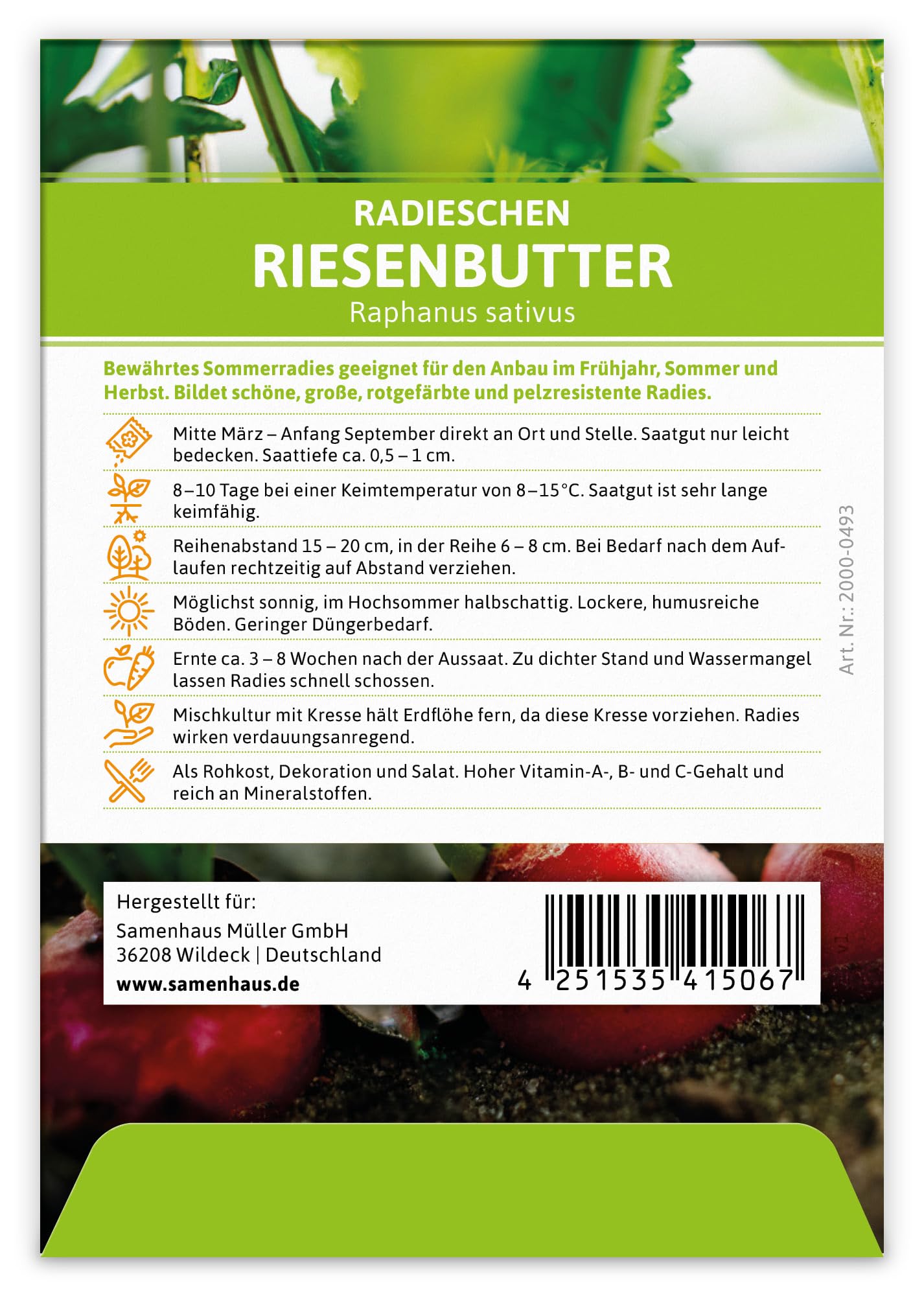 FLORTUS 2000-0493-100x Radieschen Riesenbutter (100 Stück) (Radieschensamen)