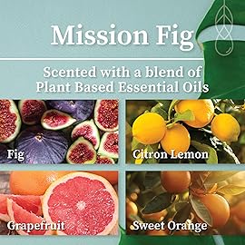 Hemlock Park Crackling Wood Wick Candle Handcrafted with Natural Coconut Wax (Standard 8 oz, Mission Fig)