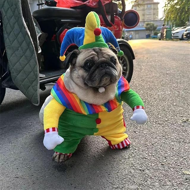 Foto 5 de 7 de Limtula Disfraz de payaso para perros pequeños, disfraz de Halloween para mascotas, accesorios de fotografía