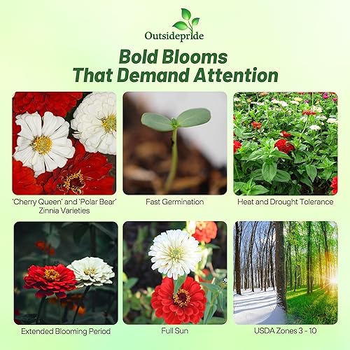 Miniatura 2 de Outsidepride Annual Zinnia Elegans Stop Sign Flores cortadas para jardín tolerantes al calor y la sequía - 1000 semillas