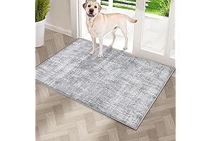 COMSLE Washable Indoor Front Door Mat
