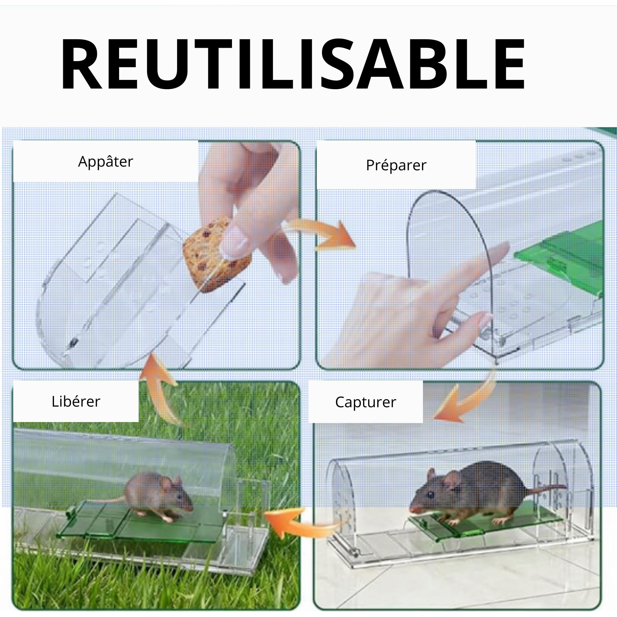 Piège à Souris vivantes Lot de 2 - boîte d'appât avec trous de ventilation et porte de sortie - Usage Intérieur et Extérieur Réutilisable