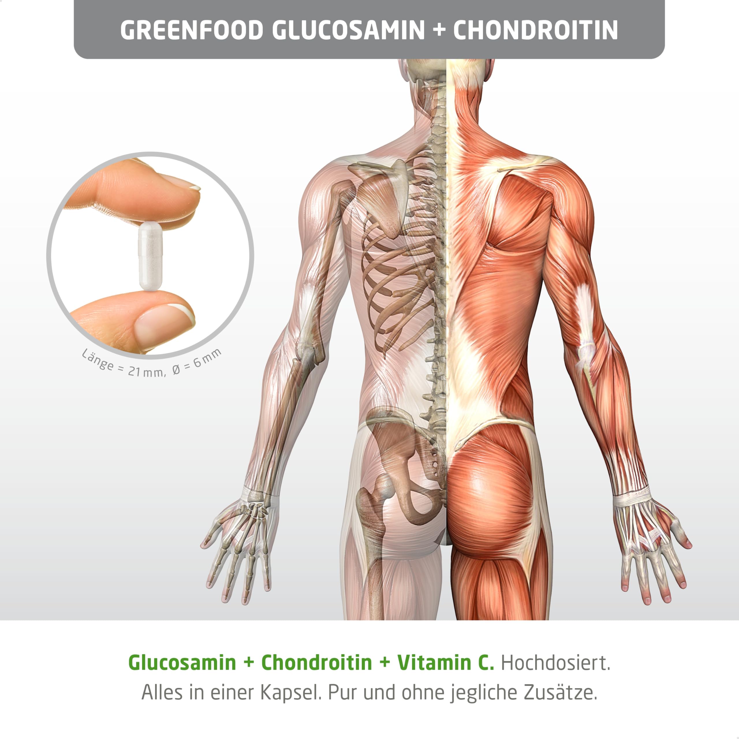 Glucosamin Chondroitin, hochdosiert, 530mg - 120 Kapseln, vegan. Mit Vitamin C - für Knochen, Muskeln und Gelenke. Mit hoher Bioverfügbarkeit. OHNE künstliche Zusätze - laborgeprüft. Von Greenfood.