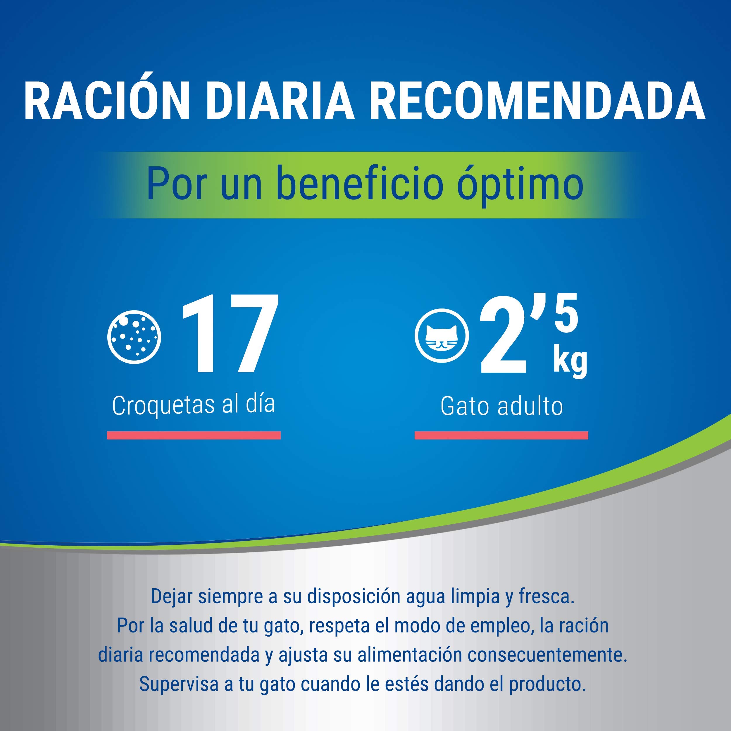Purina Dentalife Daily Oral Care, Snack dental para gato adulto, premio para Gato con Salmón, Pack de 8 bolsas de 40g