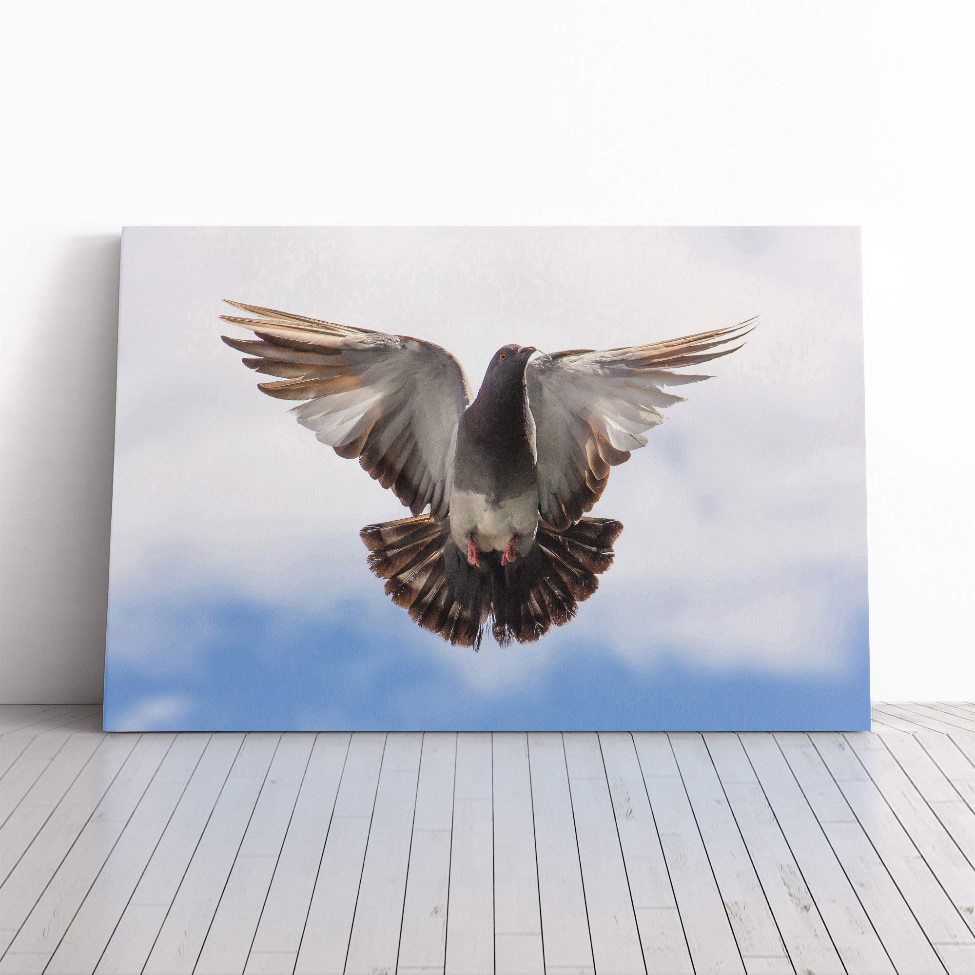 Flying Pigeon Bird Canvas Print | Gallery Wrapped 30mm Frame Wall Art | 24x16 inches | Ready to Hang | Modern Animals Picture | Living Room Bedroom Lounge Office