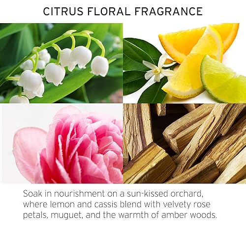 Miniatura 4 de FEKKAI Technician - Champú de color (8.5 onzas) + máscara flash (5 onzas), extiende la vitalidad del cabello tratado con color, libre de sulfatos,