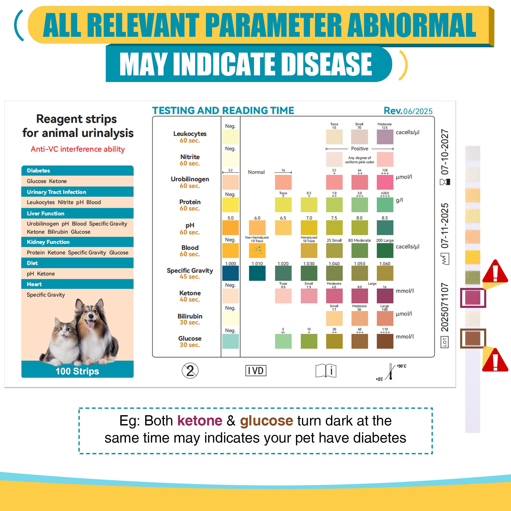 Snapklik.com : Pet Urine Testing Strips, 10 In 1 UTI Test Kit For Cat ...