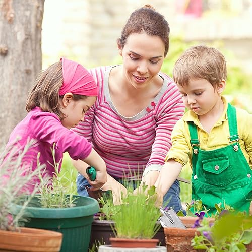Miniatura 6 de Paleta de mano de pala de jardín, paleta de herramientas de jardinería resistente y resistente, palas de mano pequeñas para excavar, pala de jardín