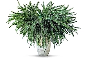 Christmas Real Touch 18" Cypress Tree