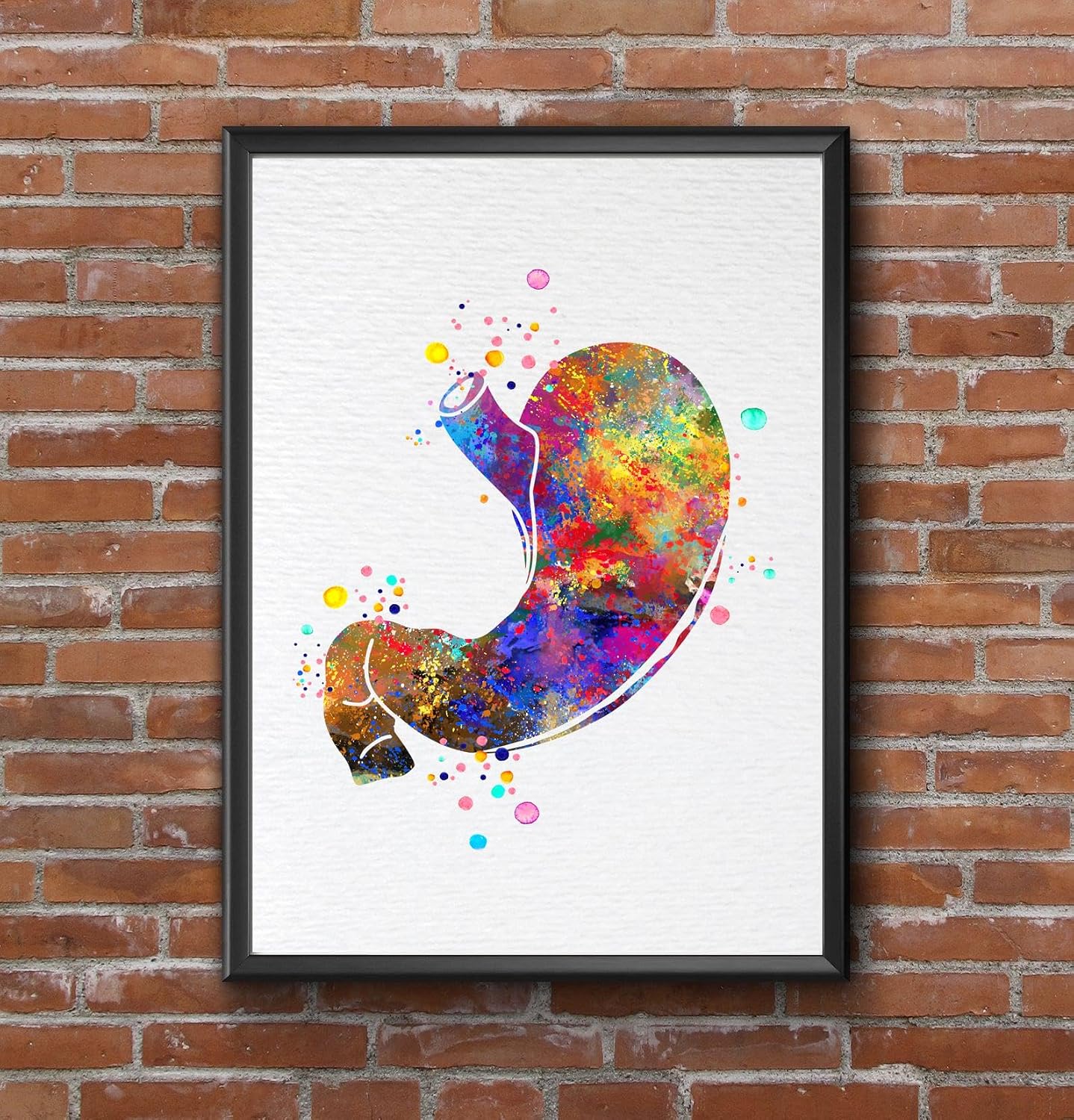 Dignovel Studios 11X14 Unframed Stomach Illustration Human Anatomy Gastrointestinal Clinic Medical Science Watercolor Art Print Poster Wall Hanging Decor DN848