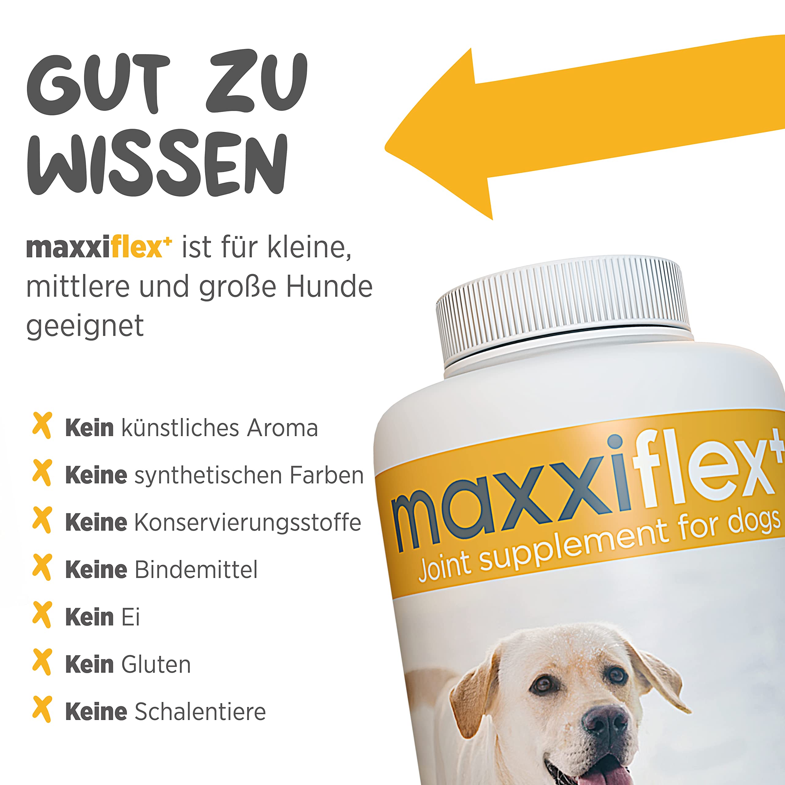 maxxiflex+ Gelenktabletten für Hunde – Teufelskralle, MSM, Glucosamin, Hyaluronsäure, Chondroitin, Bromelain, Kurkuma – 120 Stück