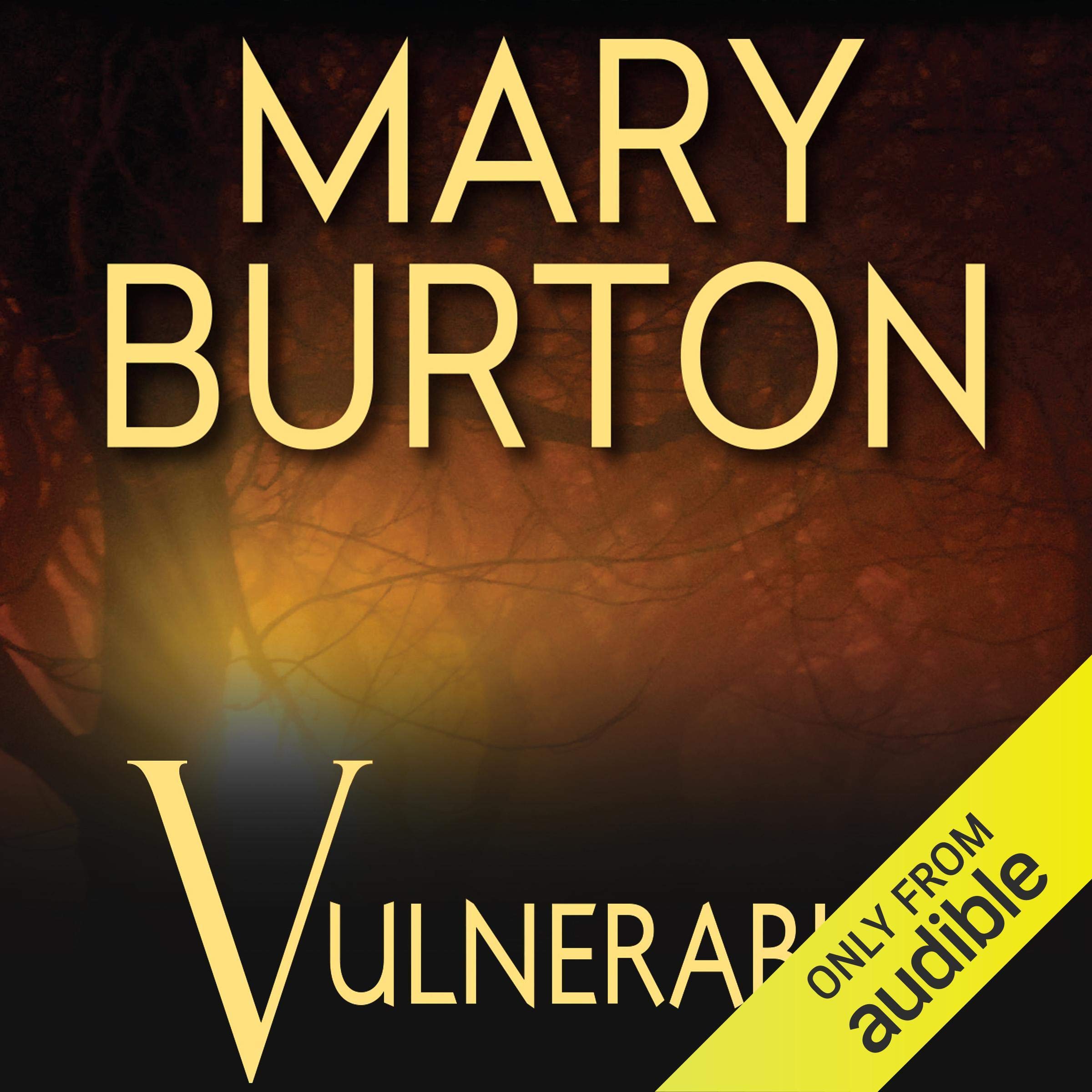 Cover art for Vulnerable