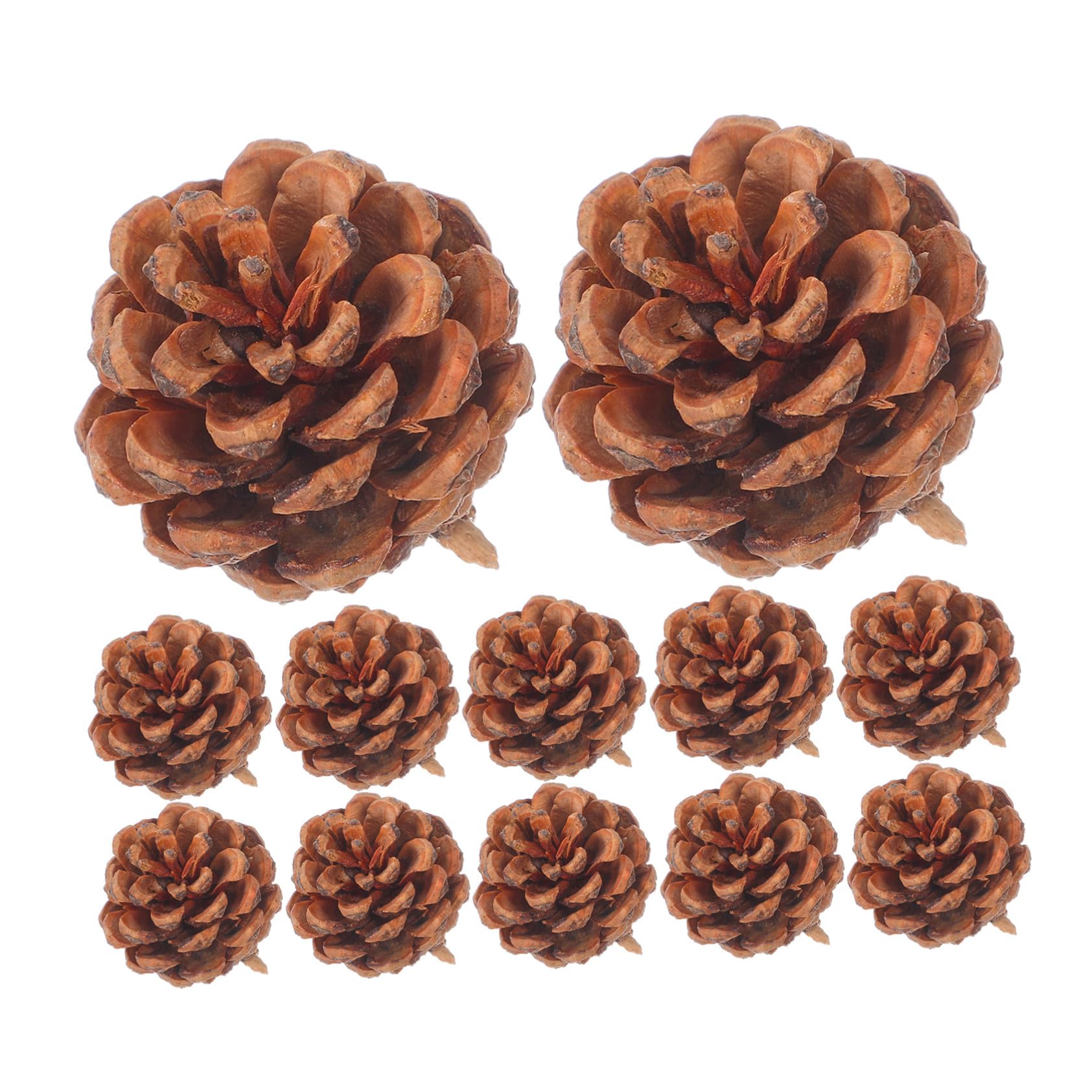 Mini pine cone ornaments rustiques pour DIY de Noël et vase fillers