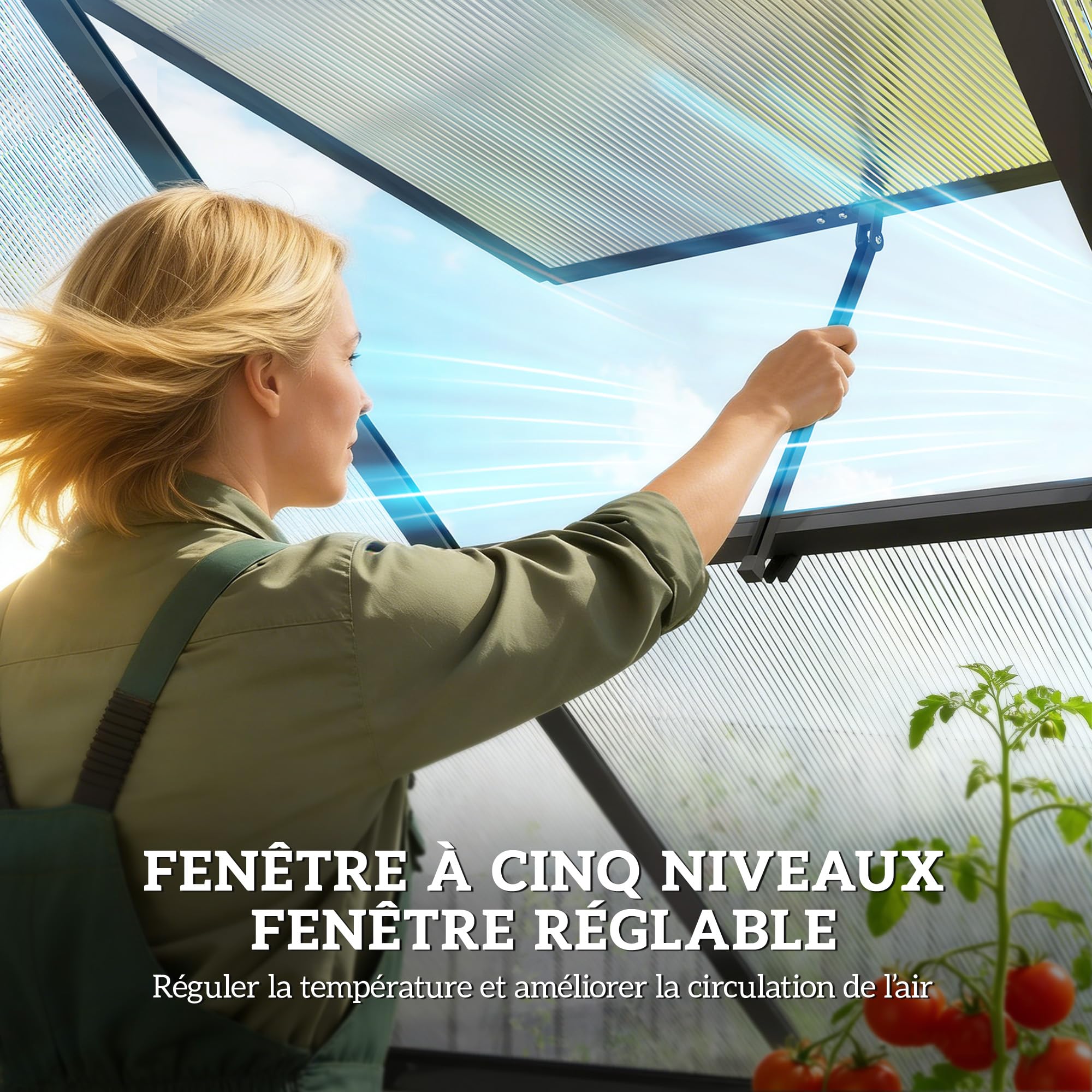 Outsunny Serre de Jardin en Aluminium Polycarbonate 3 ㎡ 178x168cm, Serre avec fenêtre réglable Porte battante, abri extérieur résistant aux intempéries pour Plante Fleur Potager semis, Transparent
