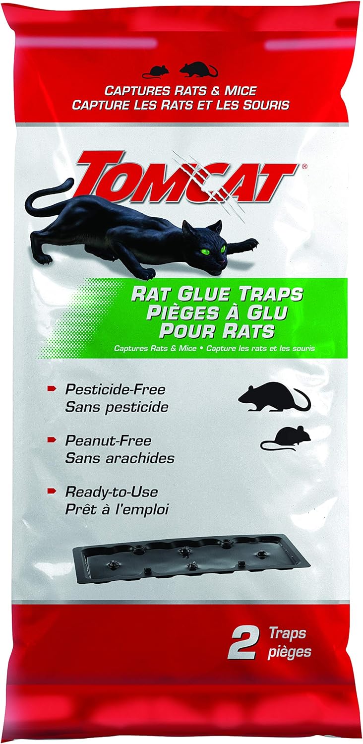 Optifit Fly Trap Kit 100 pcs 26 x 19 cm for Indoor and Greenhouse Use | Pesticide Free Sticky Trap main image 1
