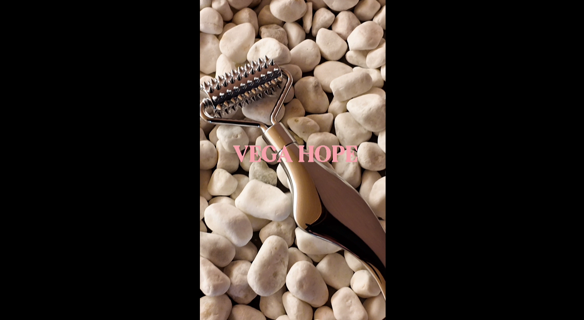 Amazon.co.jp: VEGA HOPE 美顔ローラー 美容鍼灸師監修 1台3役