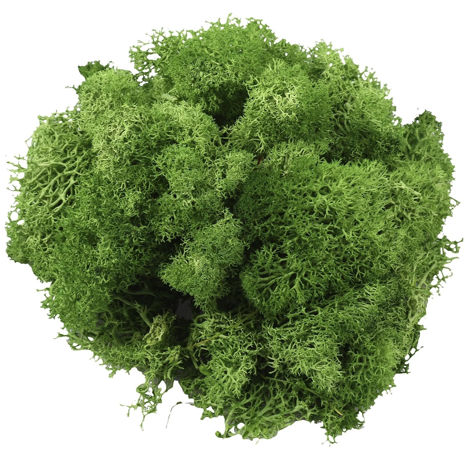 HZLXF1 Artificial Green Plants Eternal Life Moss DIY Craft Faux Preserved Plant Moss Lawn Mini Landscape Fake Grass Plant Potting Decor(Dark Green 30g)