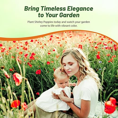 Miniatura 7 de Outsidepride 1 libra Anual Papaver Rhoeas Shirley Poppy Semillas de flores silvestres Tonos de lila, rosa y rojo