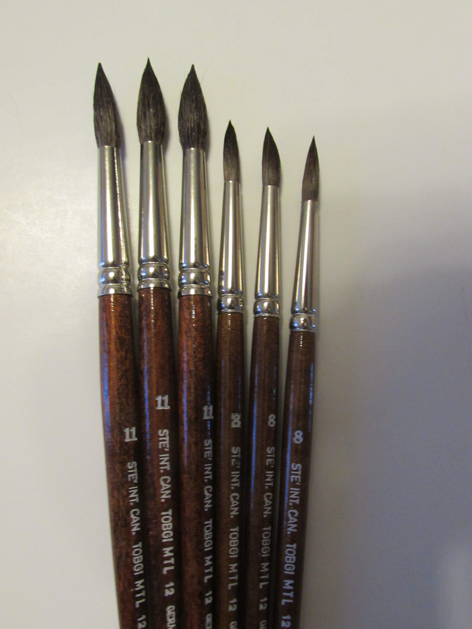 Tobgi Art 6 PCS Water Color Brushes Round Sizes #8 and #11