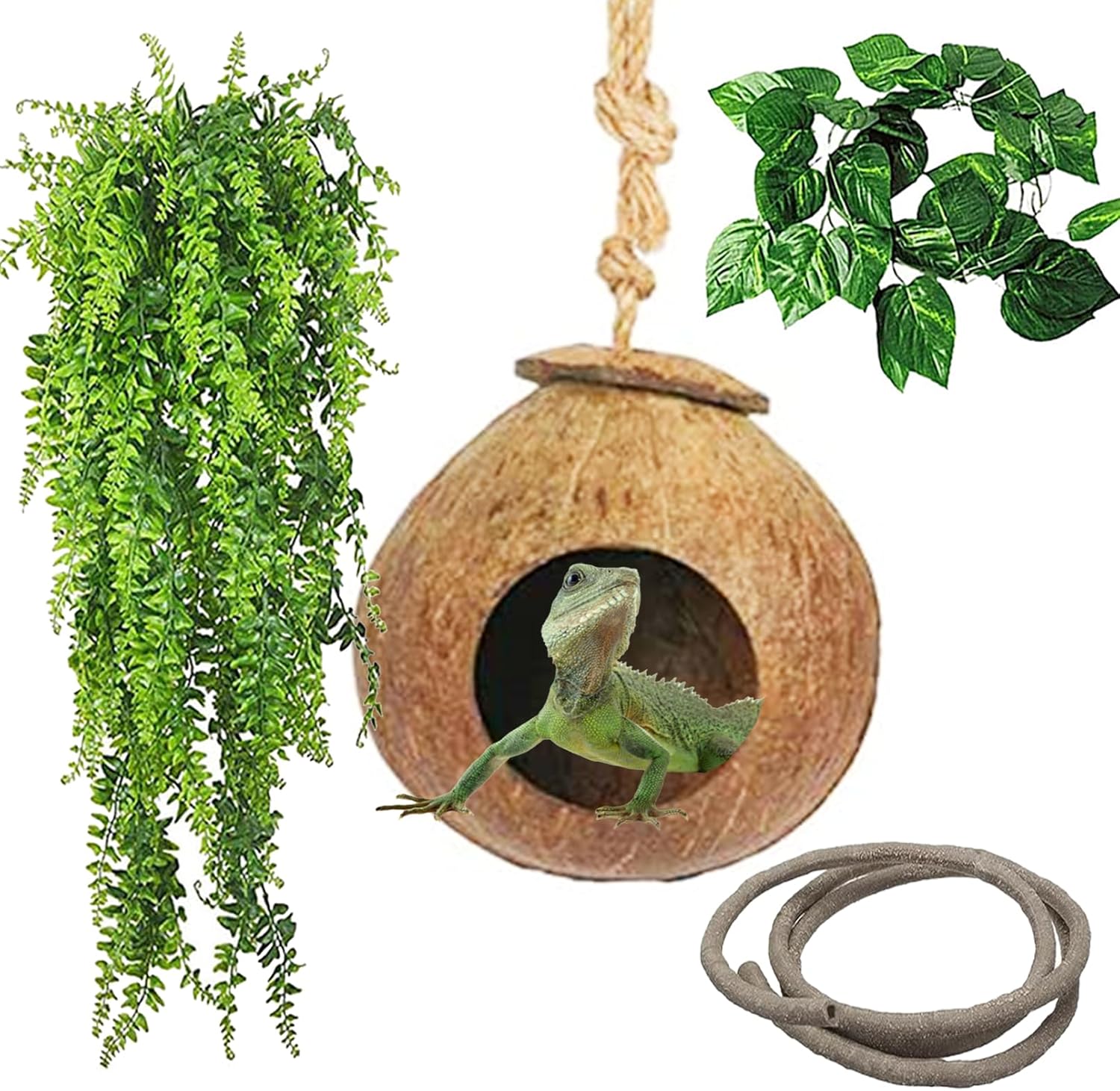 kathson Gecko Coco Hut Lizard Coconut Hide Cave Natural Coconuts Husk Reptile Hanging Nest Habitat Decor Bearded Dragon Terrarium Accessories for Crested Gecko Chameleon Snake Spider (4 PCS)