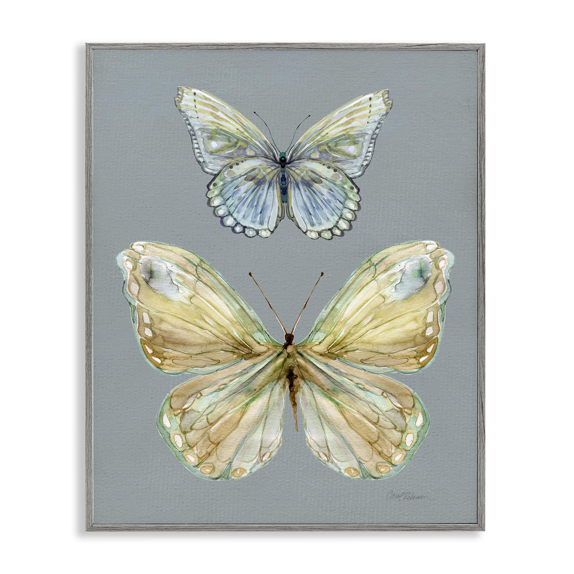 Stupell Industries 'Delicate Butterflies on Slate', Framed Giclee Art, Gray, 16 x 20 Inches, Easy to Hang and Sturdy, Made in USA, by Carol Robinson