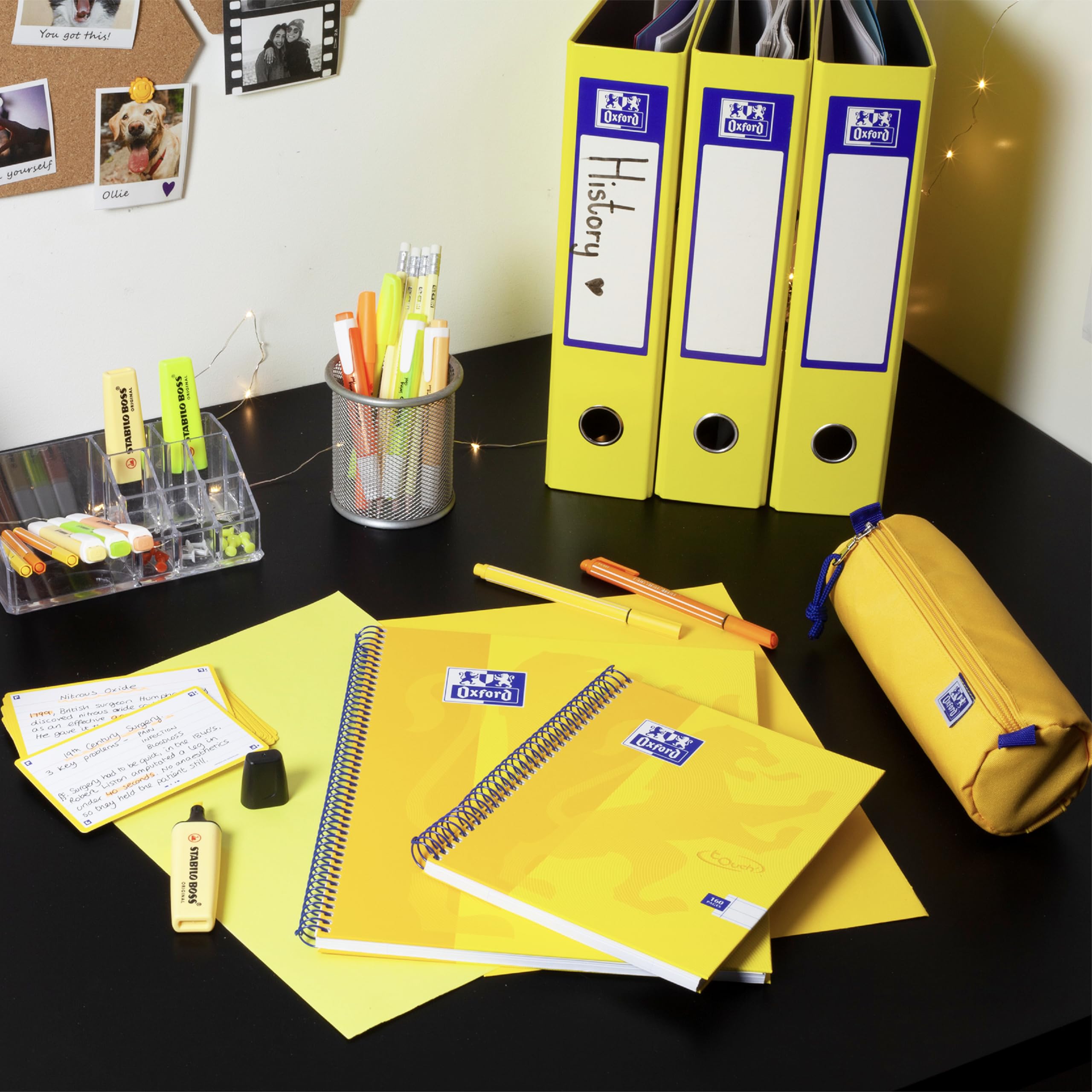 Oxford Archivador de palanca A4 premium, carpeta individual amarilla, resistente