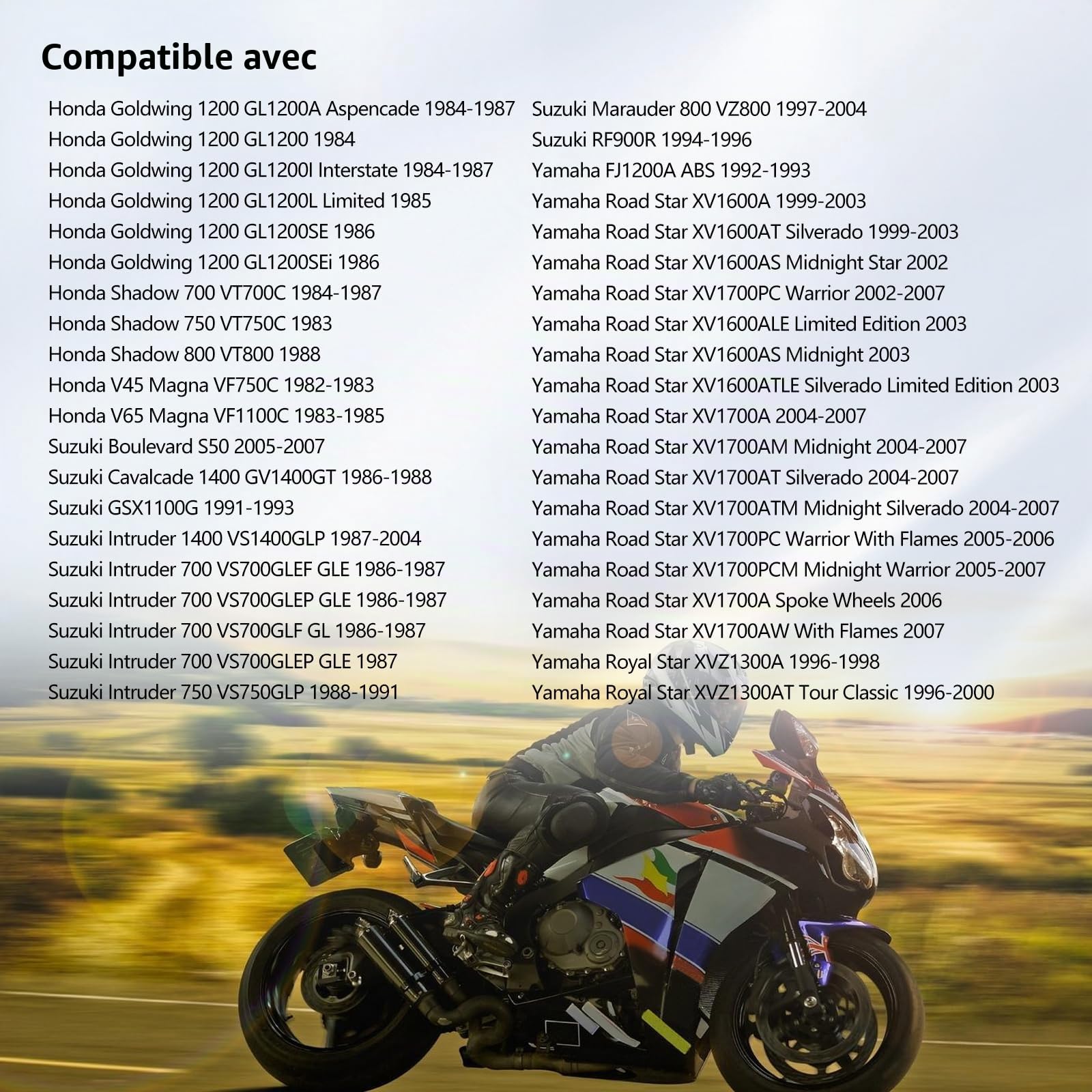 Road Passion Pompe à Carburant électrique 12v pour V star 650/1100 XVS650/XVS1100 //Virago 535/1000/1100 //Vmax 1200 //XJ600S Seca II //TZ250