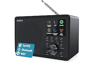Majority Touro: A Top-Tier Internet Radio for Home