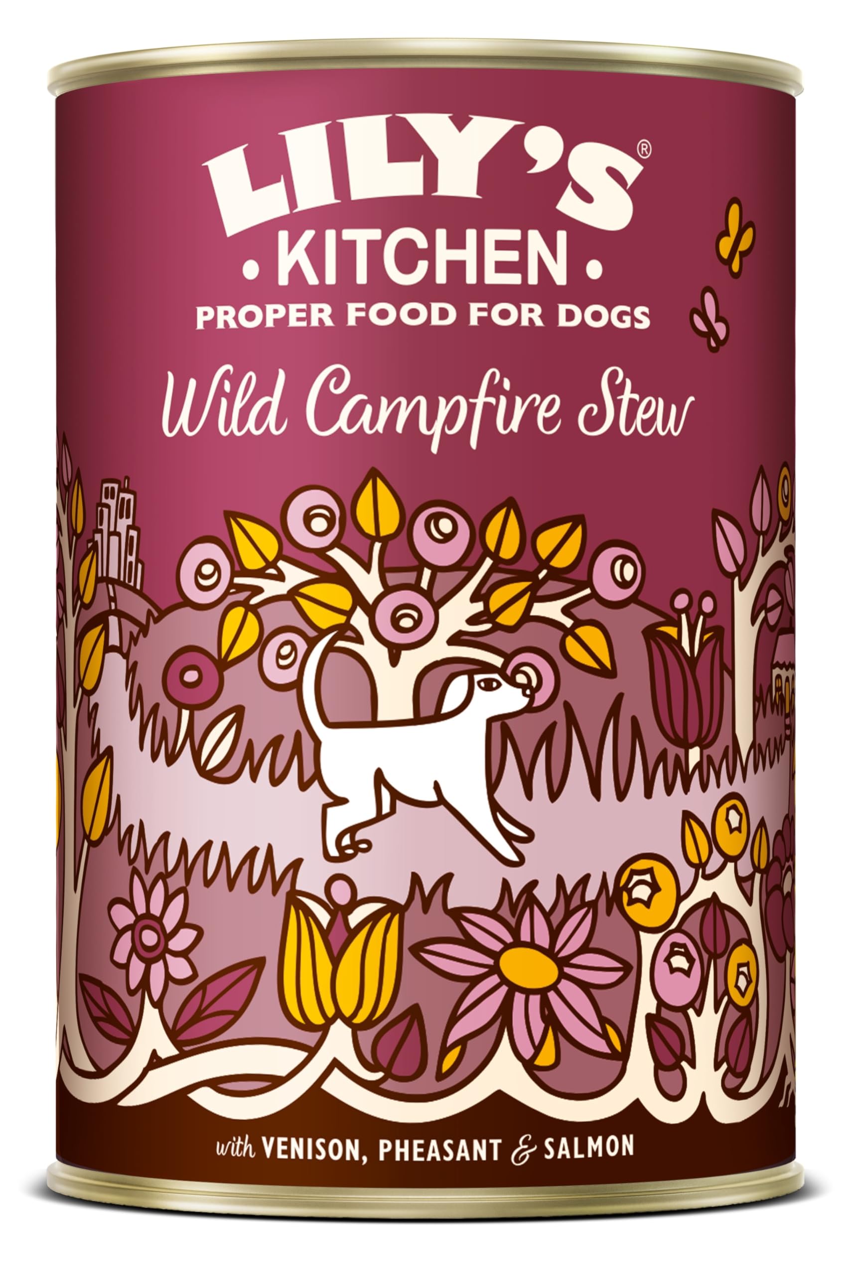 Lily's Kitchen Camfire Stew for Dog x 1