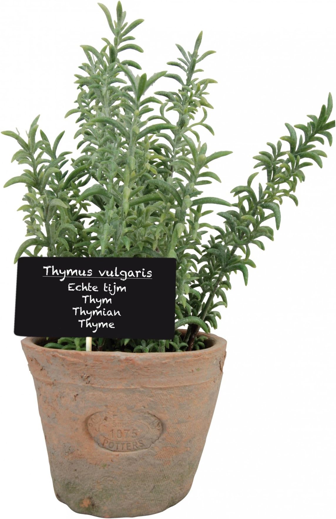 Esschert Design Artificial Herb Plant, Thyme, Large